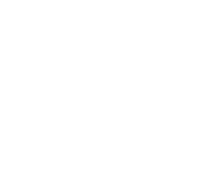 Icon_appdev
